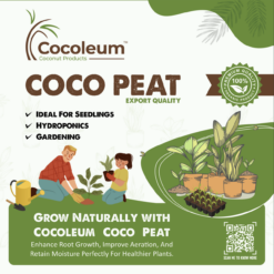 cocopeat